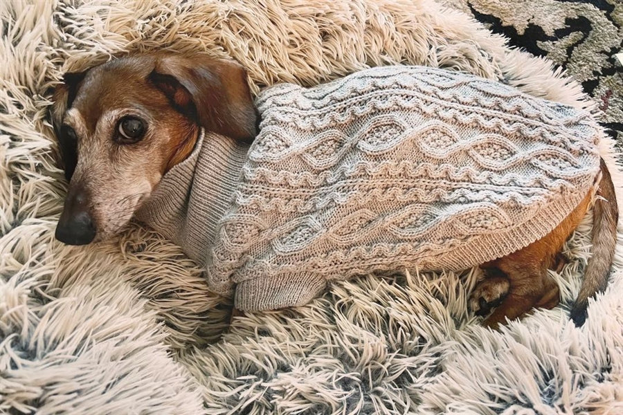 Parisian Pet 'Cable Knit Sweater' - Warm & Stylish Pet Sweater in Cloud Gray for Dogs & Cats - Image 4