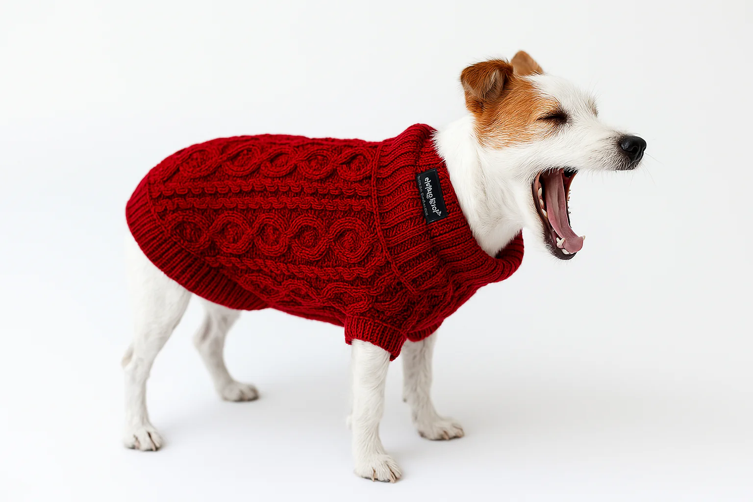 Parisian Pet 'Cable Knit Sweater' - Warm & Stylish Pet Sweater in Red for Dogs & Cats-Valentine's Day - Image 5