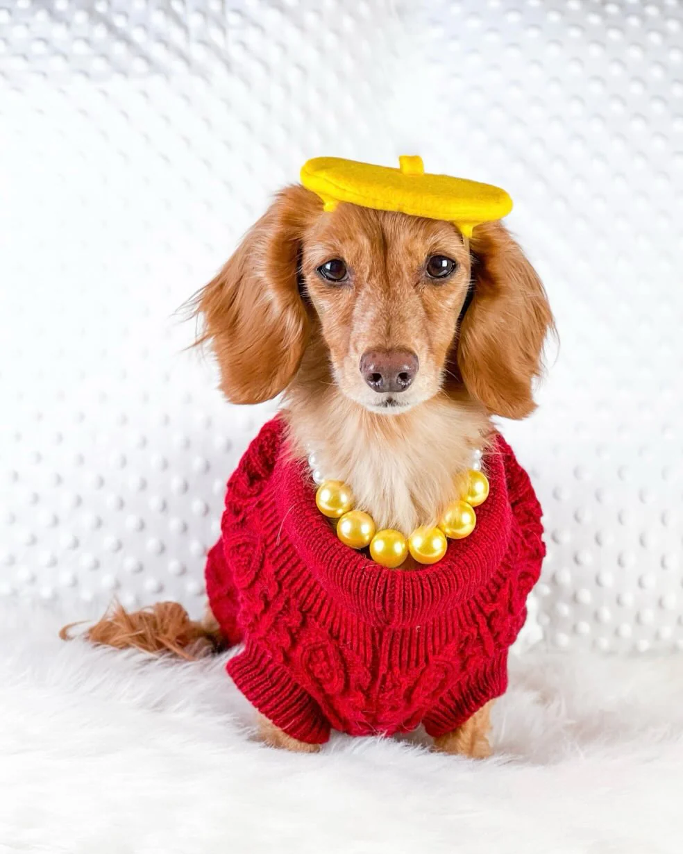 Parisian Pet 'Cable Knit Sweater' - Warm & Stylish Pet Sweater in Red for Dogs & Cats-Valentine's Day - Image 6