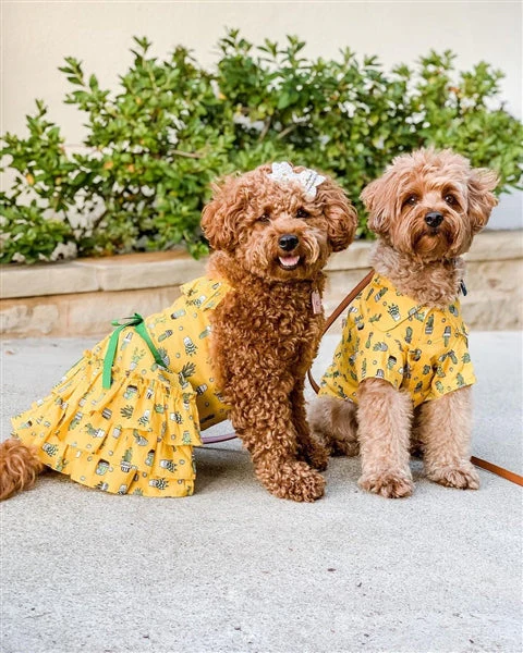 Parisian Pet 'Cactus Camp' Dog & Cat Shirt – Trendy Embroidered Tropical Pet Apparel, Lightweight & Comfortable – Yellow - Image 3