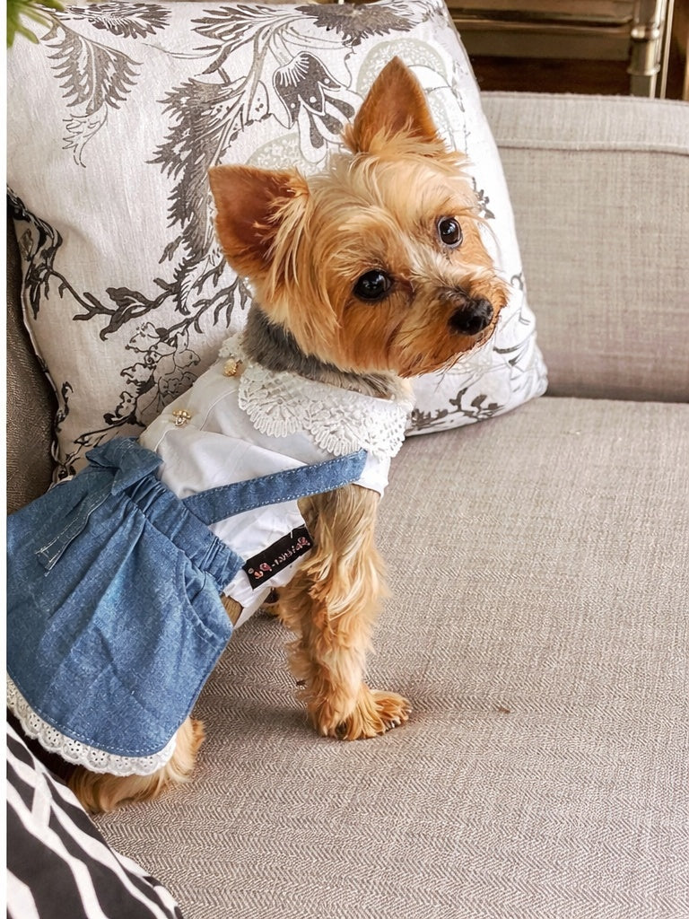 Parisian Pet 'Chambray Overall Dress' for Dogs and Cats, Designer Denim, Lightweight Summer Outfit, Blue - Image 7