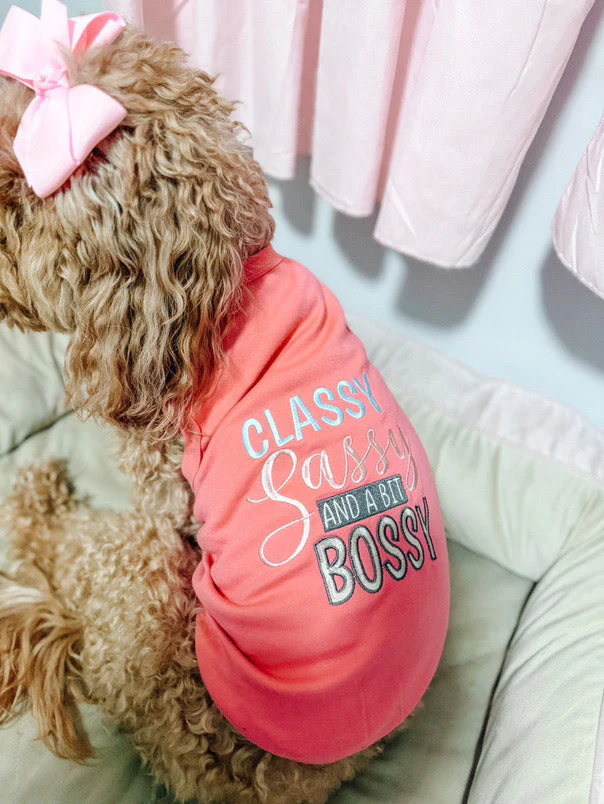 Parisian Pet 'Classy, Sassy, and a Bit Bossy' Dog & Cat T-Shirt – Trendy & Fun Pet Apparel - Pink - Image 4