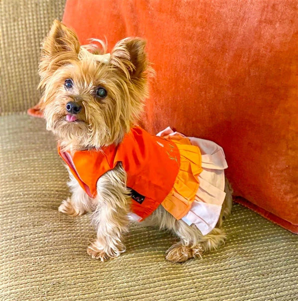 Parisian Pet 'Color Block Garden Dress' for Dogs and Cats, Comfortable and Stylish, Summer Outfit, Orange - Image 3