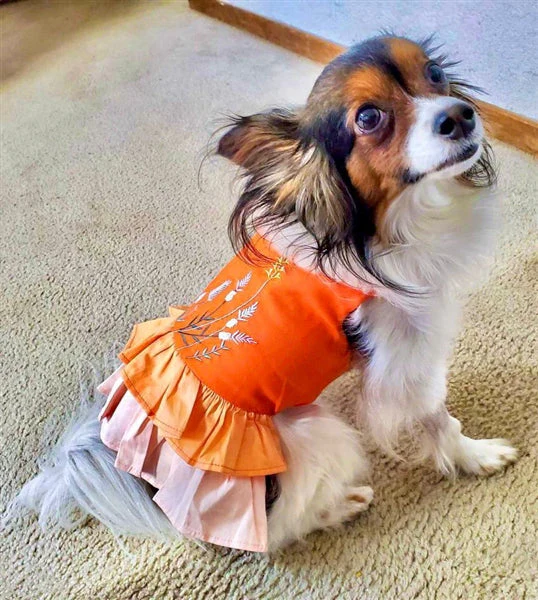 Parisian Pet 'Color Block Garden Dress' for Dogs and Cats, Comfortable and Stylish, Summer Outfit, Orange - Image 4