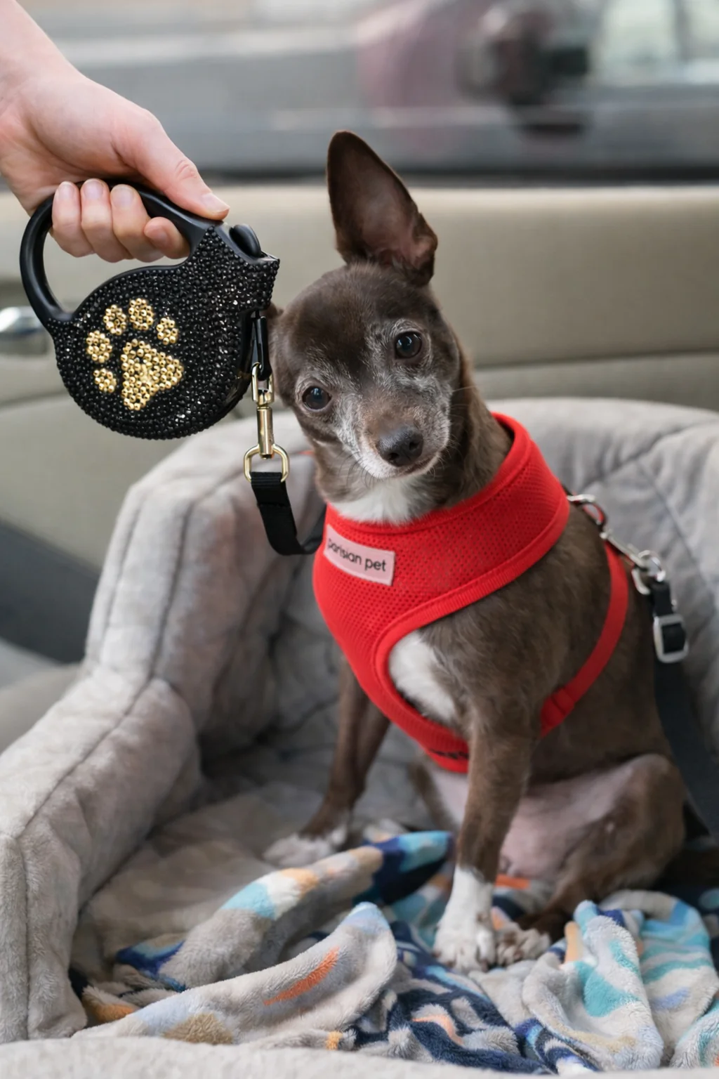 Parisian Pet 'Crystal Retractable Leash Golden Paw' for Dogs & Cats – Comfortable Pet Leash with Ergonomic Handle - Image 2