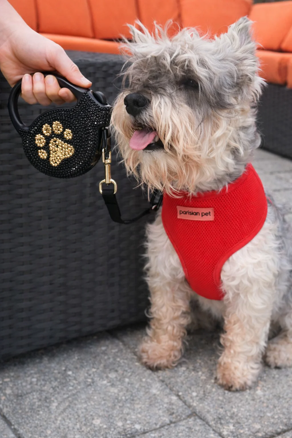 Parisian Pet 'Crystal Retractable Leash Golden Paw' for Dogs & Cats – Comfortable Pet Leash with Ergonomic Handle - Image 5