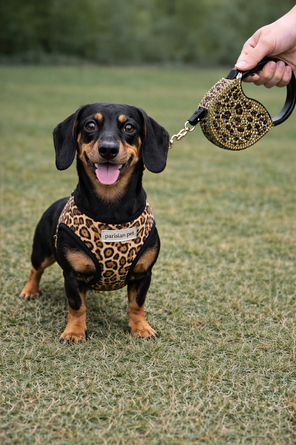 Parisian Pet 'Crystal Retractable Leash Leopard' for Dogs & Cats – Strong, Stylish Leash for Small Dogs, 16-Foot Length - Image 3