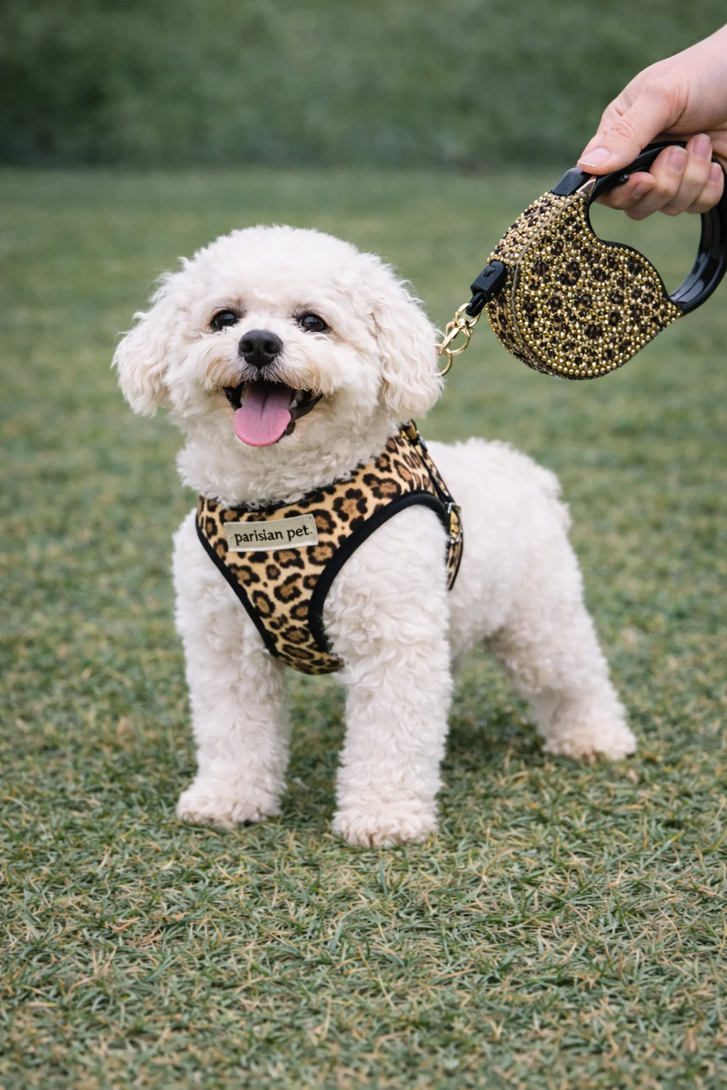 Parisian Pet 'Crystal Retractable Leash Leopard' for Dogs & Cats – Strong, Stylish Leash for Small Dogs, 16-Foot Length - Image 4