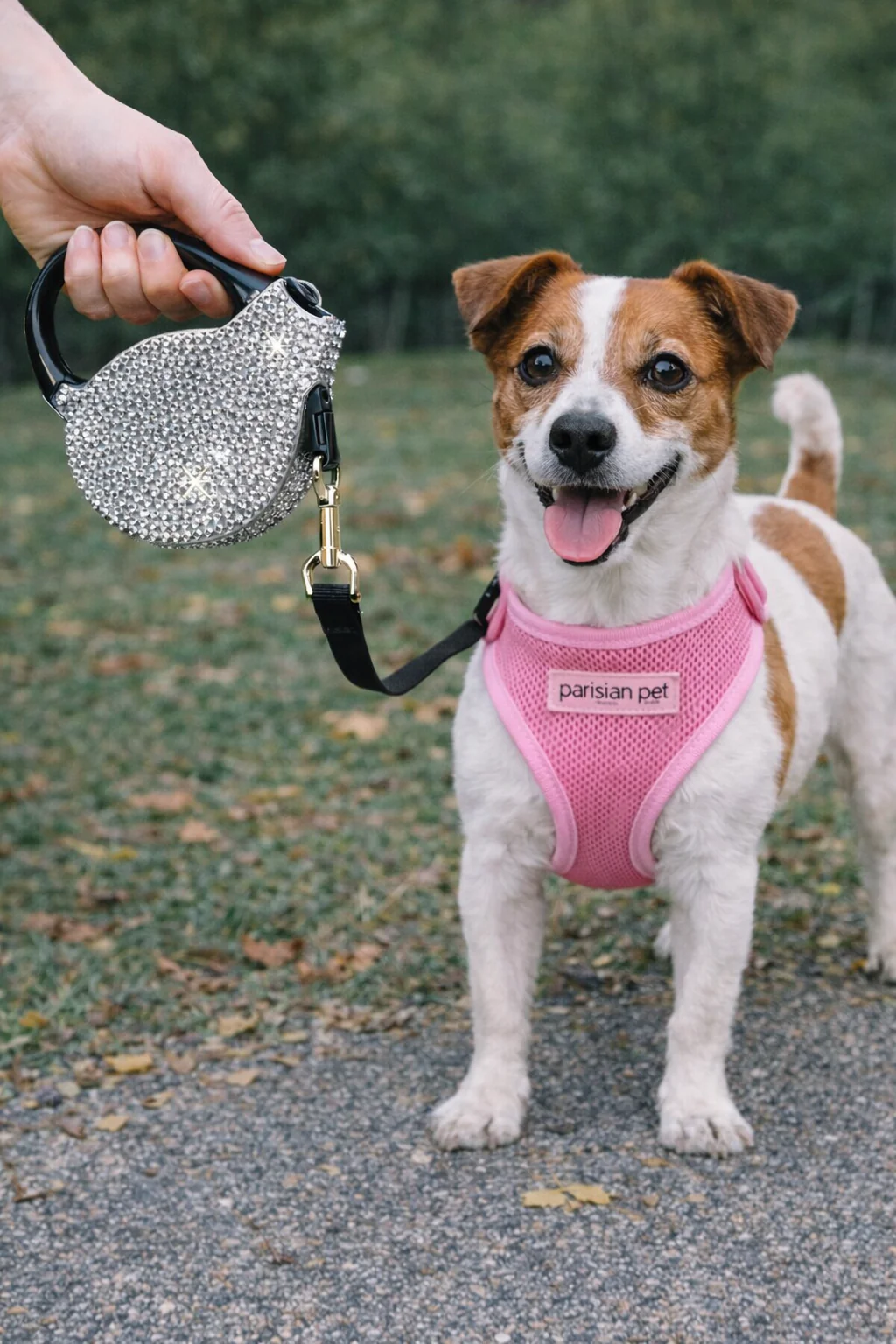 Parisian Pet 'Crystal Retractable Leash Silver' for Dogs & Cats – Durable, Stylish 16-Foot Leash with Comfortable Grip - Image 3