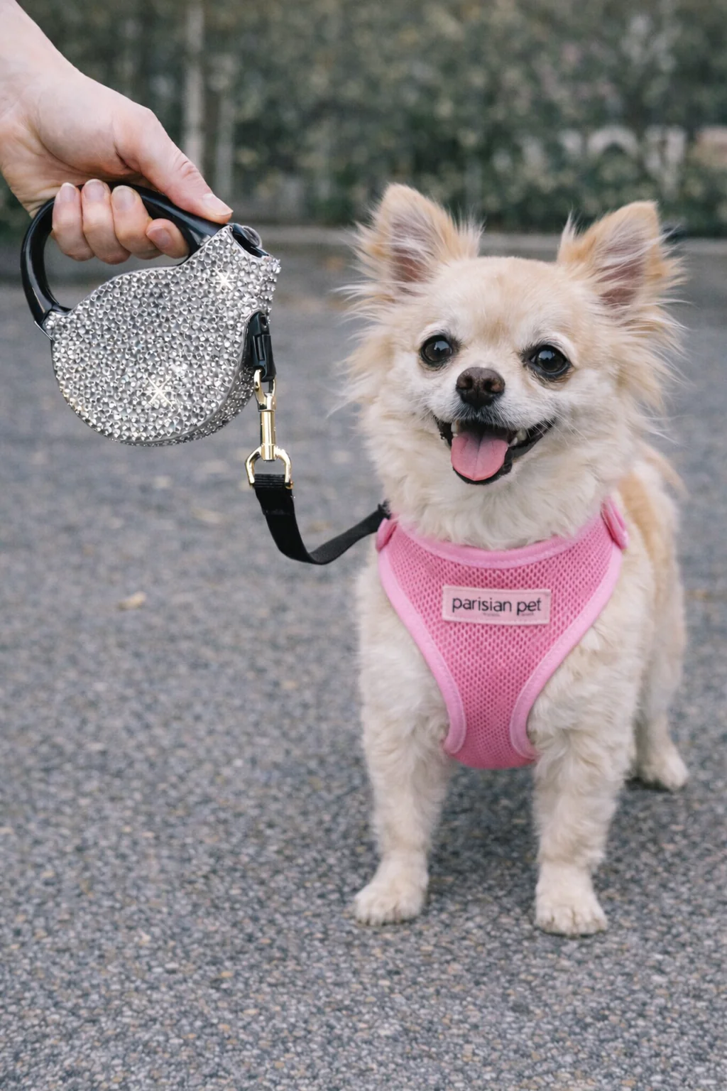 Parisian Pet 'Crystal Retractable Leash Silver' for Dogs & Cats – Durable, Stylish 16-Foot Leash with Comfortable Grip - Image 5