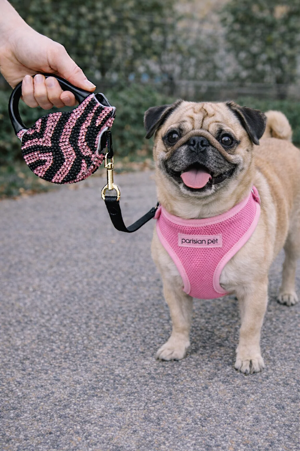 Parisian Pet 'Crystal Retractable Leash Zebra Pink' for Dogs & Cats – 16-Foot Retractable Leash with Zebra Print - Image 3