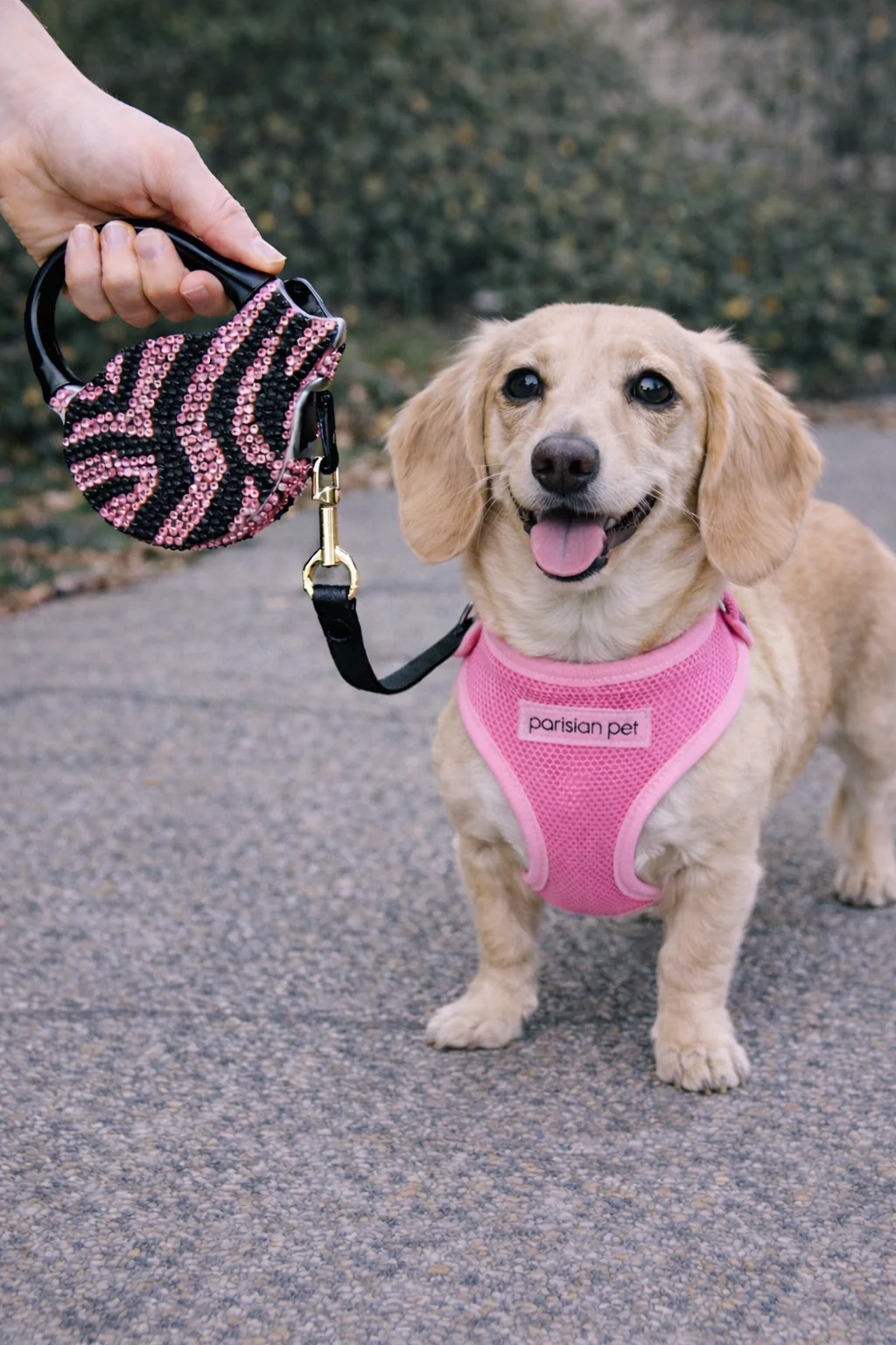 Parisian Pet 'Crystal Retractable Leash Zebra Pink' for Dogs & Cats – 16-Foot Retractable Leash with Zebra Print - Image 5