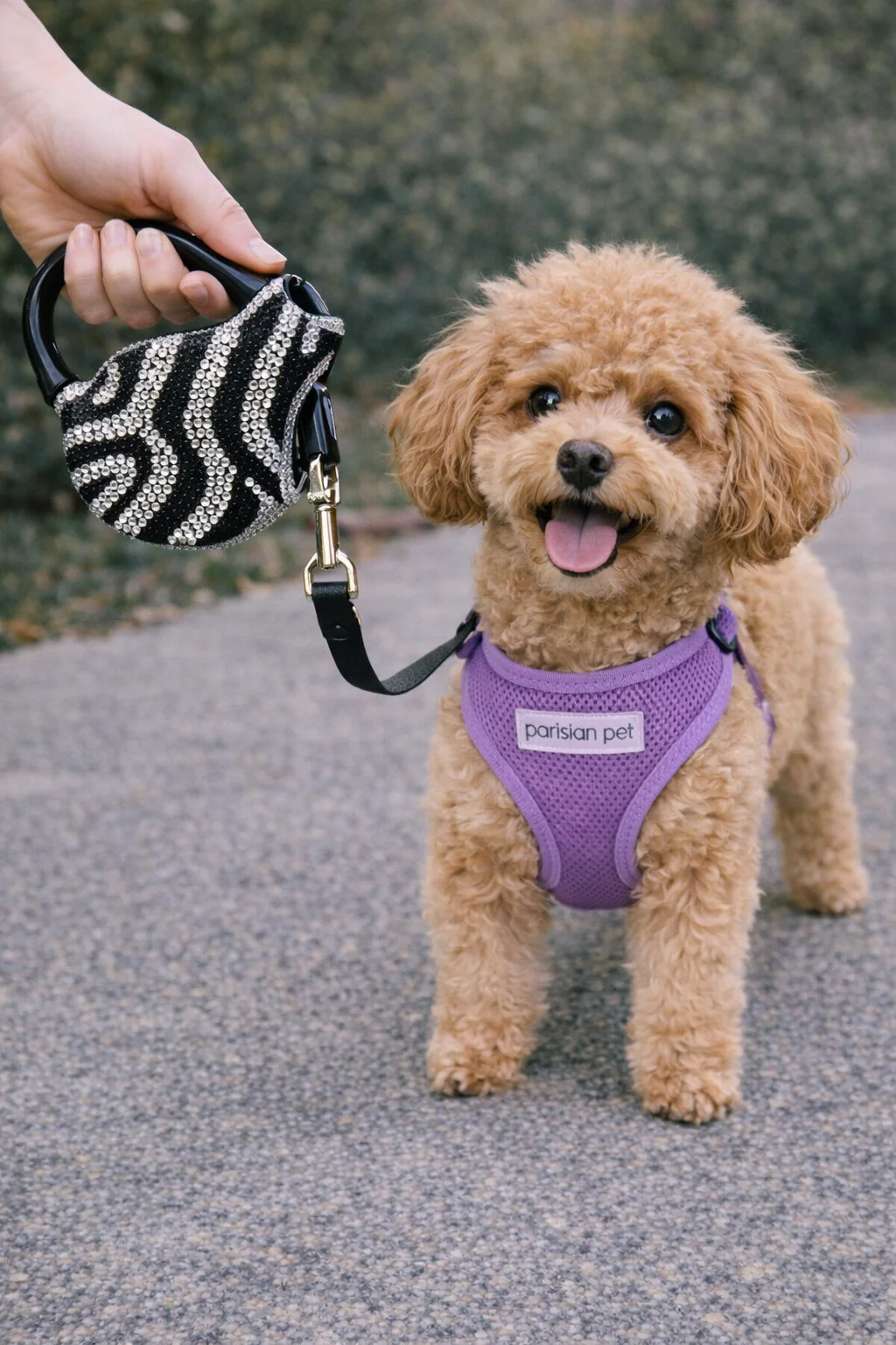 Parisian Pet 'Crystal Retractable Leash Zebra Silver' for Dogs & Cats – Durable, High-Quality Silver Pet Leash with Ergonomic Handle - Image 2