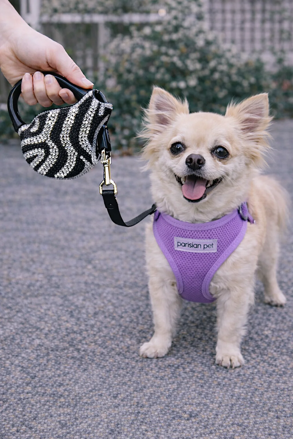 Parisian Pet 'Crystal Retractable Leash Zebra Silver' for Dogs & Cats – Durable, High-Quality Silver Pet Leash with Ergonomic Handle - Image 4