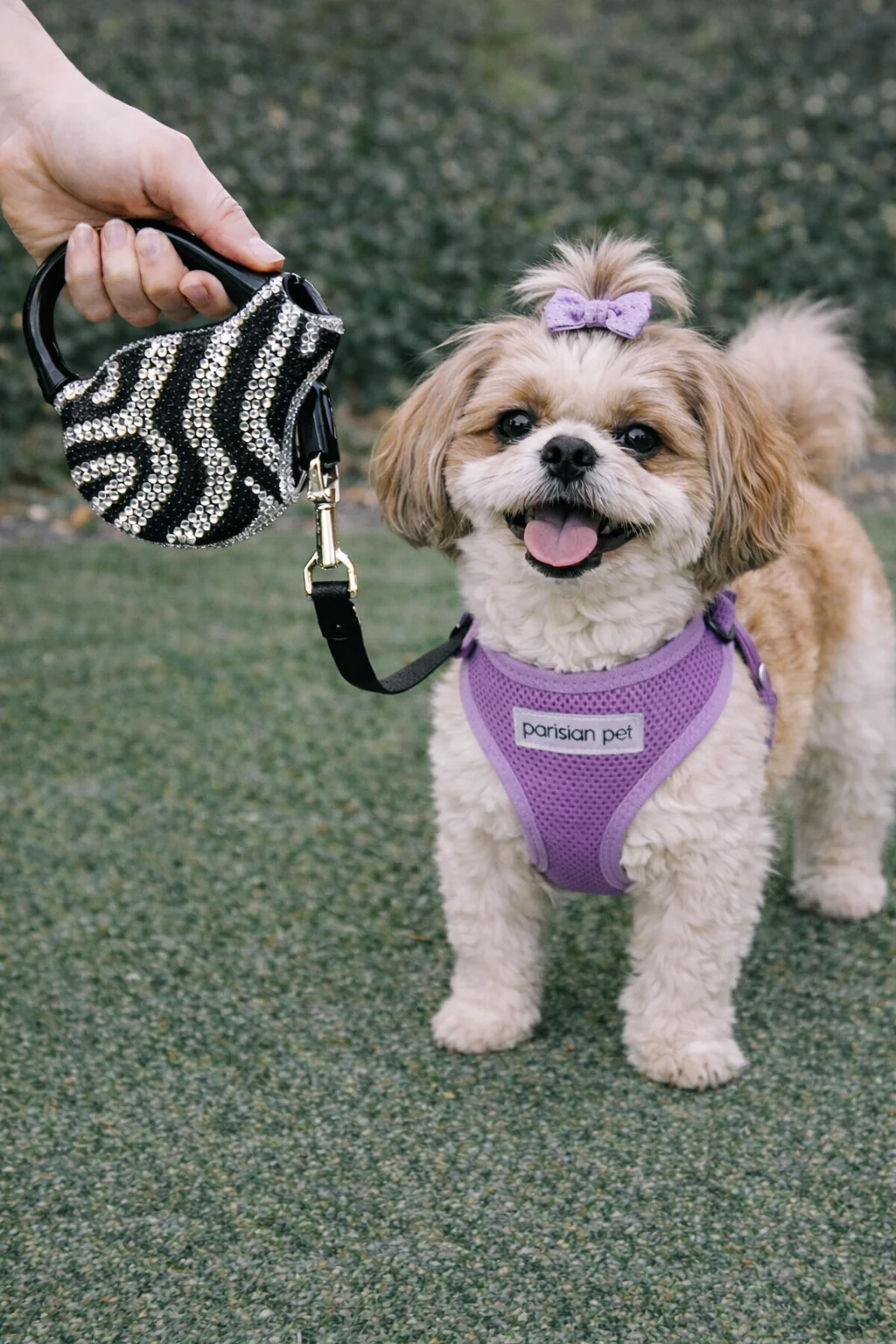 Parisian Pet 'Crystal Retractable Leash Zebra Silver' for Dogs & Cats – Durable, High-Quality Silver Pet Leash with Ergonomic Handle - Image 5
