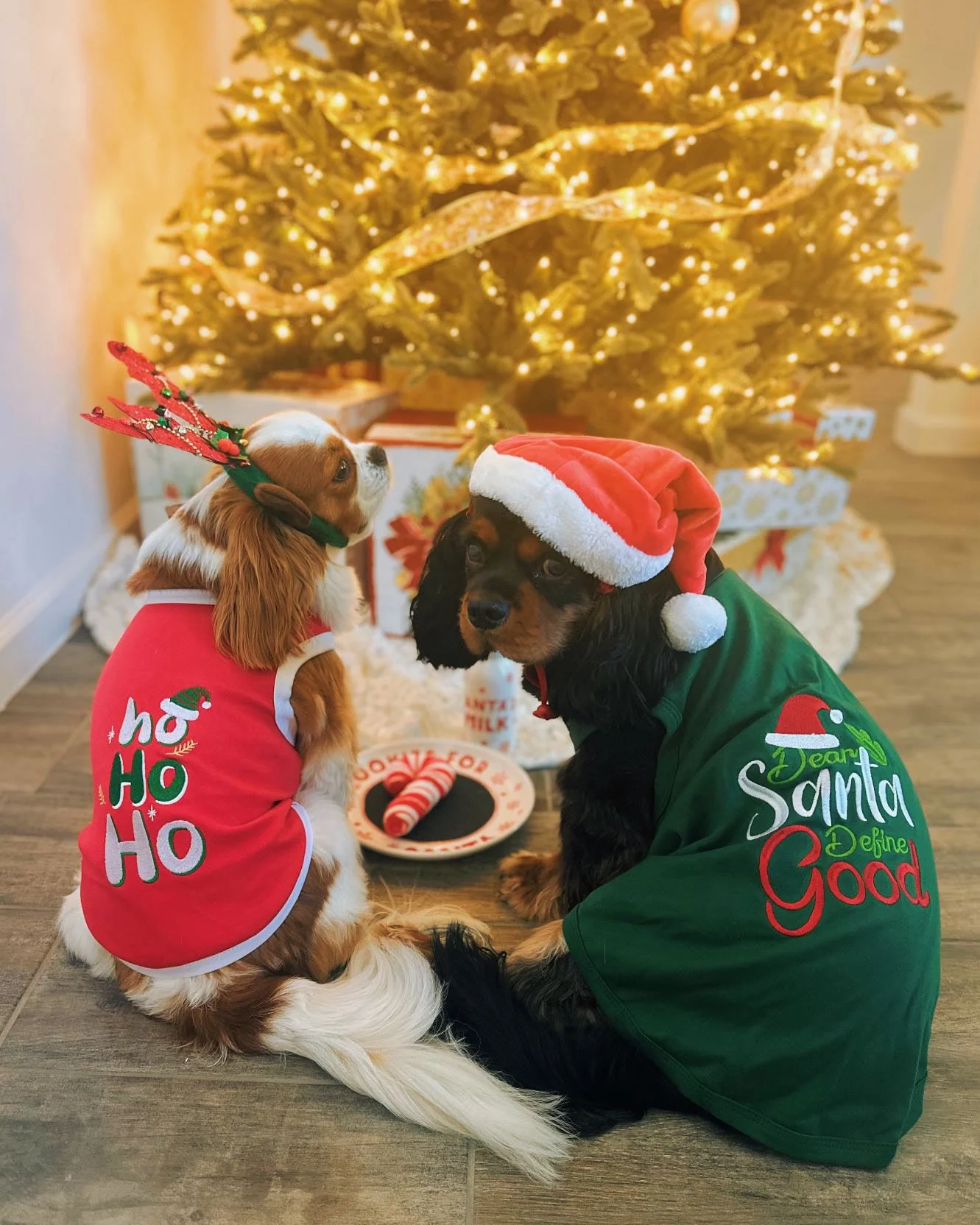 Parisian Pet 'Dear Santa Define Good' Dog Christmas T-Shirt - Festive Pet Shirt for Cats & Dogs, Green - Image 3