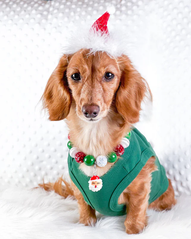 Parisian Pet 'Dear Santa Define Good' Dog Christmas T-Shirt - Festive Pet Shirt for Cats & Dogs, Green - Image 8