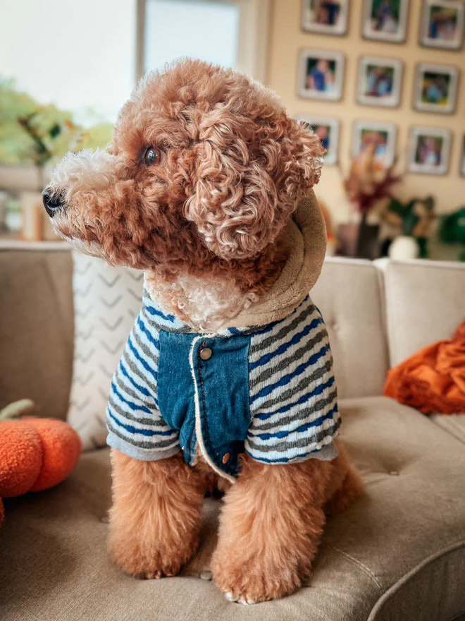 Parisian Pet 'Denim Striped' Hoodie, Blue for Dogs & Cats – Soft, Stylish Pet Apparel - Image 3