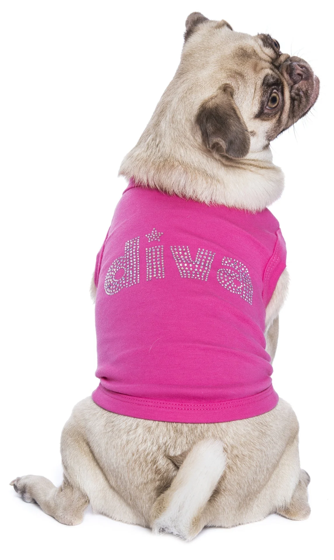 Parisian Pet 'Diva' Dog Shirt - Trendy Pet T-Shirt for Dogs & Cats, Pink - Image 3