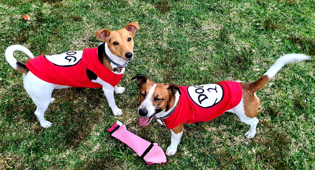 Parisian Pet 'Dog 1' Dog Shirt – Fun Slogan Cotton Pet T-Shirt for Dogs & Cats, Red - Image 2