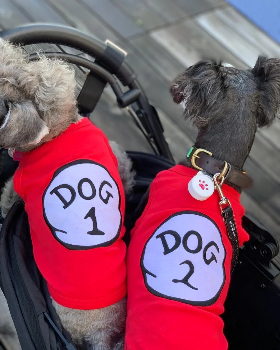 Parisian Pet 'Dog 2' Funny Slogan Dog Shirt – Playful Embroidered Pet Apparel for Dogs & Cats, Red - Image 6