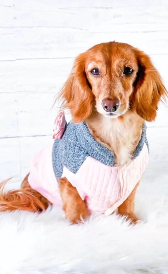 Parisian Pet 'Fancy Flower Quilted Jacket' for Dogs & Cats, Warm Pet Outerwear, Quilted Floral Dog Jacket - Valentine's Day - Image 3