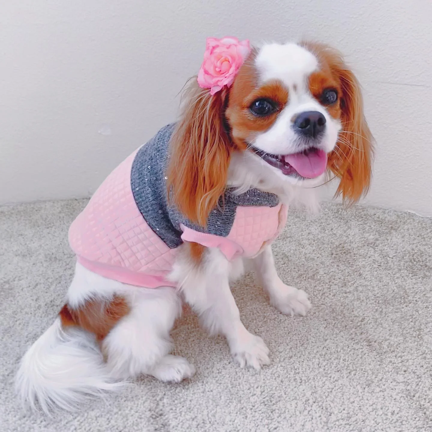 Parisian Pet 'Fancy Flower Quilted Jacket' for Dogs & Cats, Warm Pet Outerwear, Quilted Floral Dog Jacket - Valentine's Day - Image 4