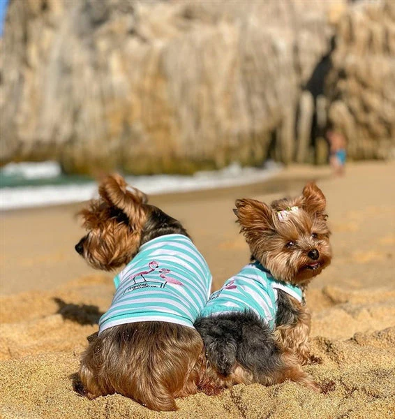 Parisian Pet 'Flamingos'  Dog Shirt – Lightweight & Breathable Summer Outfit for Small Dogs & Cats, Light Blue and White Stripes - Image 3