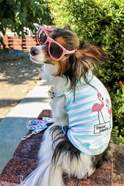 Parisian Pet 'Flamingos'  Dog Shirt – Lightweight & Breathable Summer Outfit for Small Dogs & Cats, Light Blue and White Stripes - Image 4