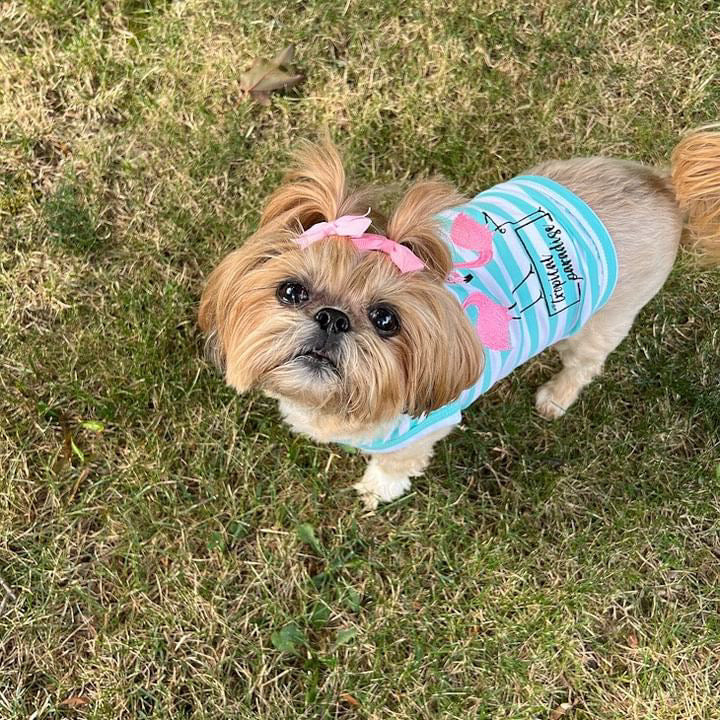 Parisian Pet 'Flamingos'  Dog Shirt – Lightweight & Breathable Summer Outfit for Small Dogs & Cats, Light Blue and White Stripes - Image 6