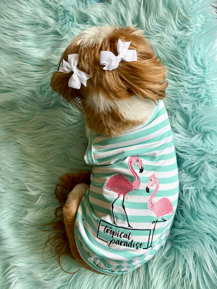 Parisian Pet 'Flamingos'  Dog Shirt – Lightweight & Breathable Summer Outfit for Small Dogs & Cats, Light Blue and White Stripes - Image 7