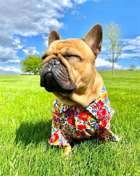 Parisian Pet 'Floral Artsy' Dog & Cat Camp Shirt – Trendy Embroidered Cotton Apparel, Comfortable & Stylish-Valentine's Day - Image 3