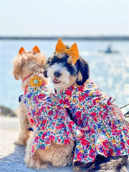 Parisian Pet 'Floral Artsy Dress' Dog & Cat Shirt – Stylish and Comfortable Designer Dog Clothing - Red, Yellow, Blue, White-Valentine's Day - Image 3