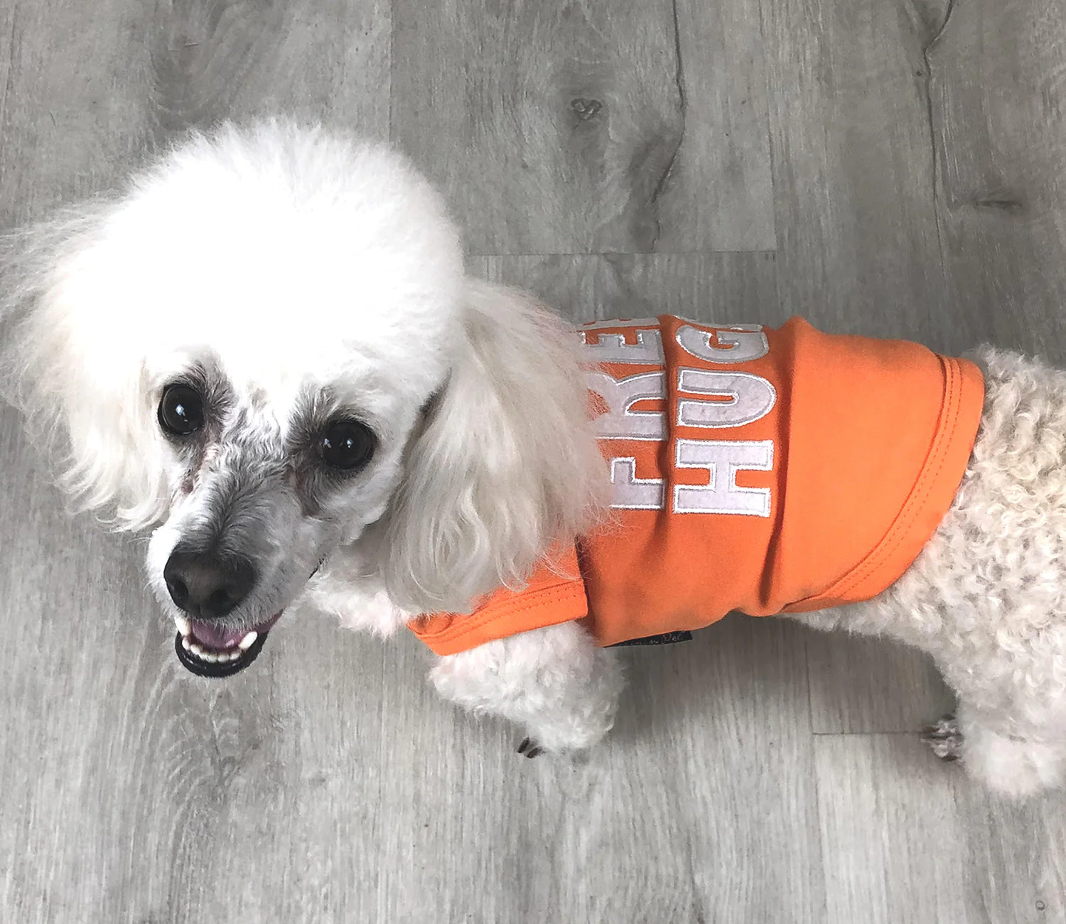 Parisian Pet 'Free Hugs' Embroidered Dog T-Shirt – Trendy Casual Outfit for Small Dogs & Cats, Orange - Valentine's Day - Image 4