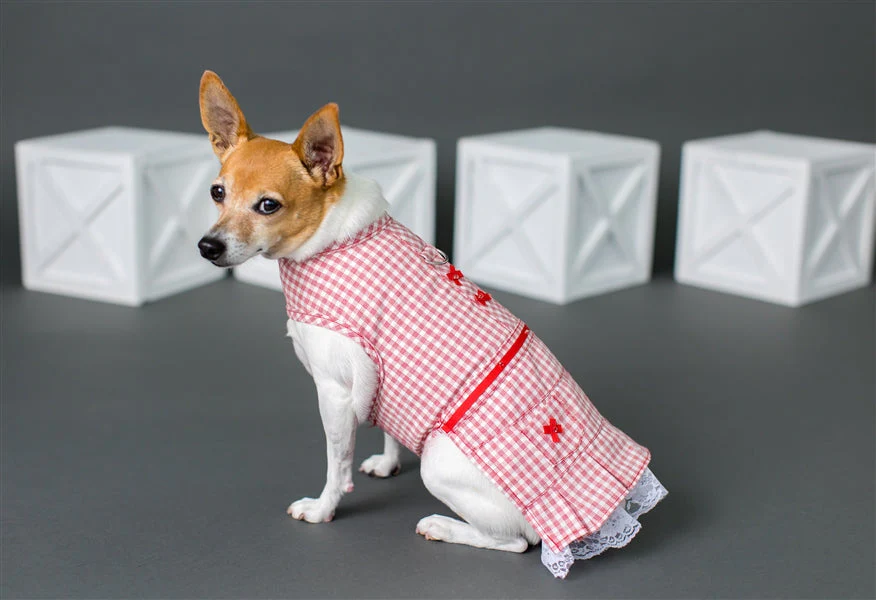 Parisian Pet 'Gingham Countryside Dress' Dog & Cat Shirt – Elegant Country Style Dog Dress –Red- Valentine's Day - Image 3