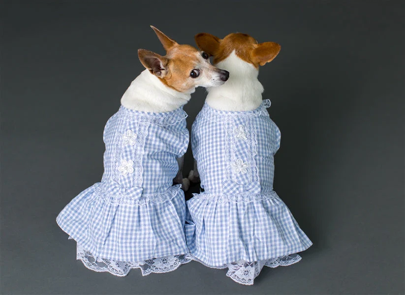 Parisian Pet 'Gingham Countryside Lace Dress' Dog & Cat Shirt – Stylish Blue Plaid Dress – Blue - Image 3