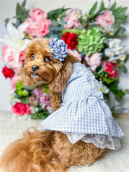 Parisian Pet 'Gingham Countryside Lace Dress' Dog & Cat Shirt – Stylish Blue Plaid Dress – Blue - Image 4