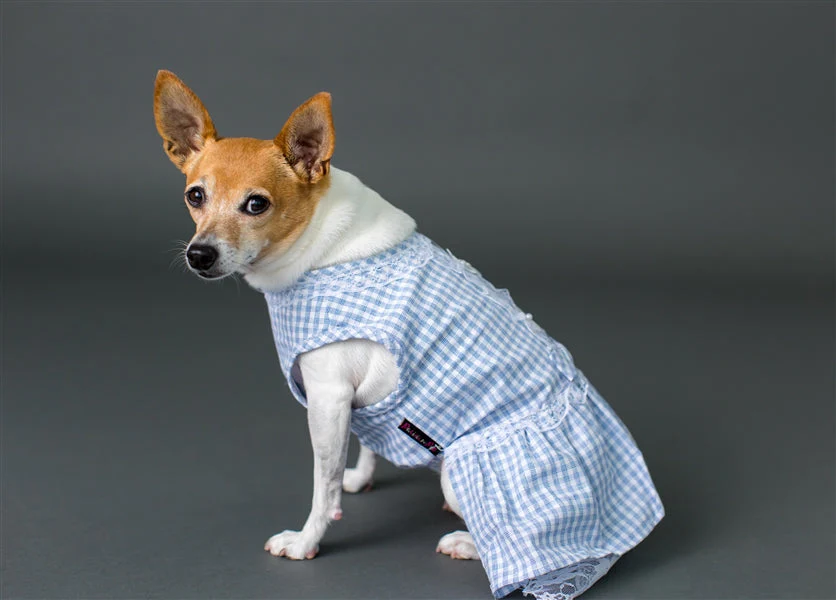 Parisian Pet 'Gingham Countryside Lace Dress' Dog & Cat Shirt – Stylish Blue Plaid Dress – Blue - Image 5