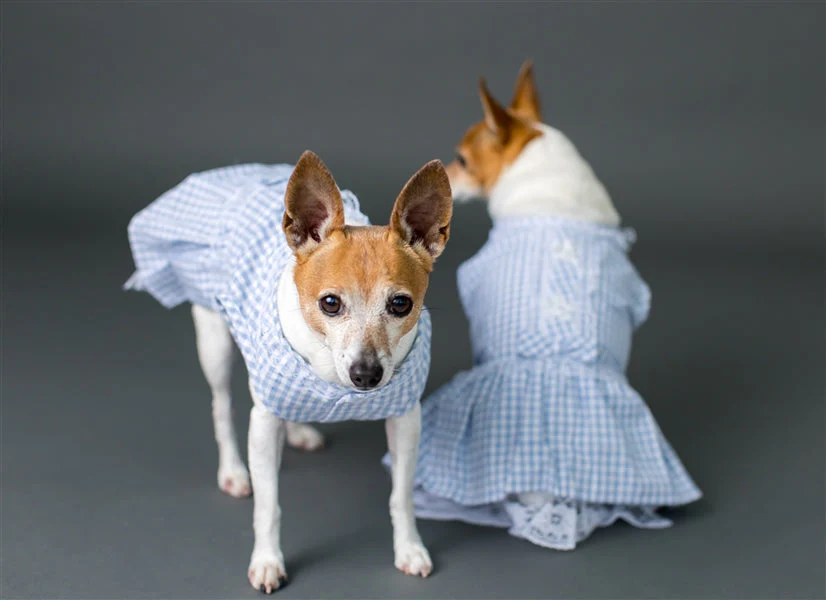 Parisian Pet 'Gingham Countryside Lace Dress' Dog & Cat Shirt – Stylish Blue Plaid Dress – Blue - Image 6