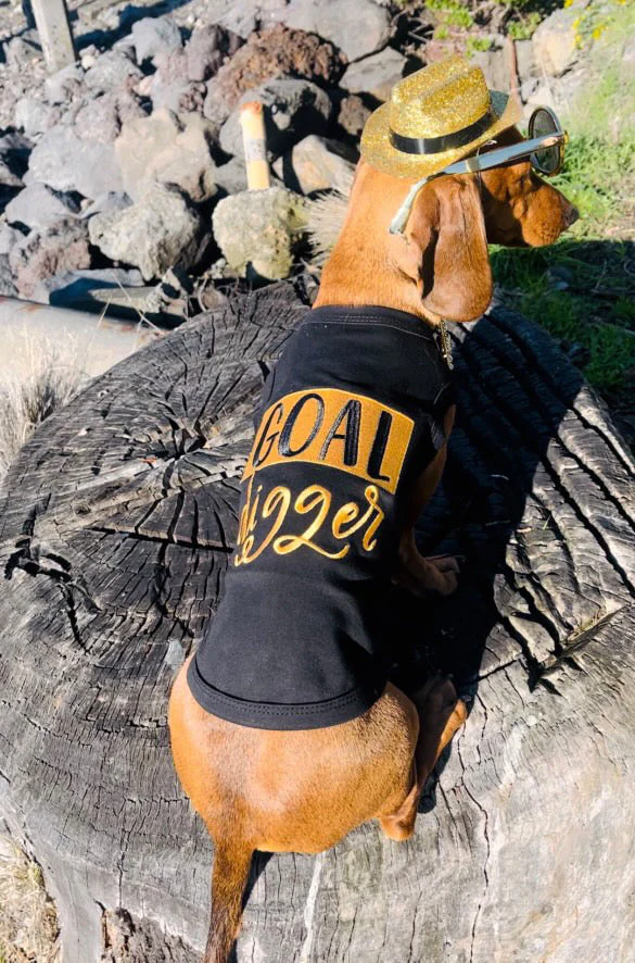 Parisian Pet 'Goal Digger' Motivational Dog Shirt – Trendy Black Embroidered Pet Apparel for Dogs & Cats - Image 3