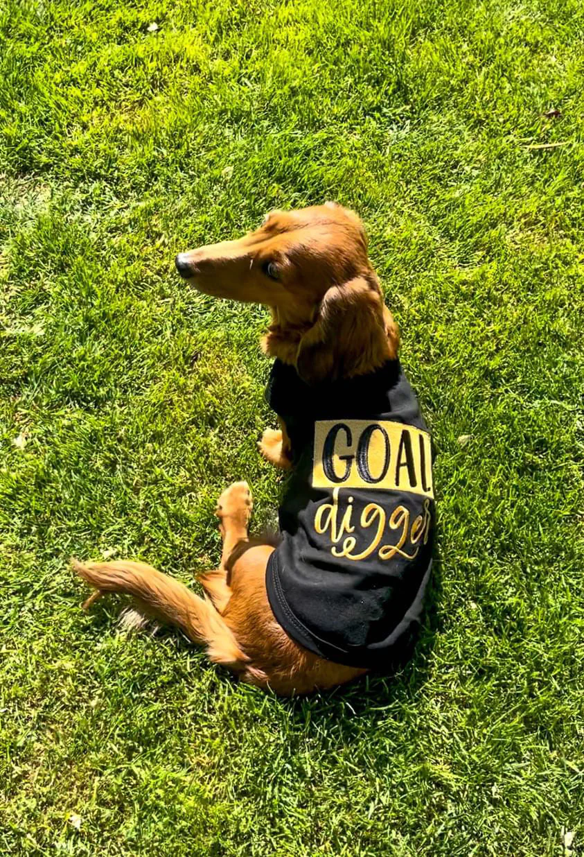 Parisian Pet 'Goal Digger' Motivational Dog Shirt – Trendy Black Embroidered Pet Apparel for Dogs & Cats - Image 4