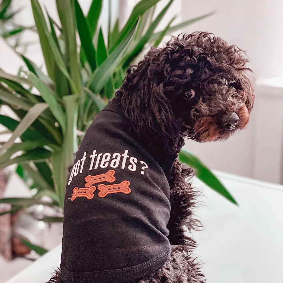 Parisian Pet 'Got Treats?' Novelty Dog Apparel – Fun Embroidered Pet Wear for Dogs & Cats, Black - Image 5