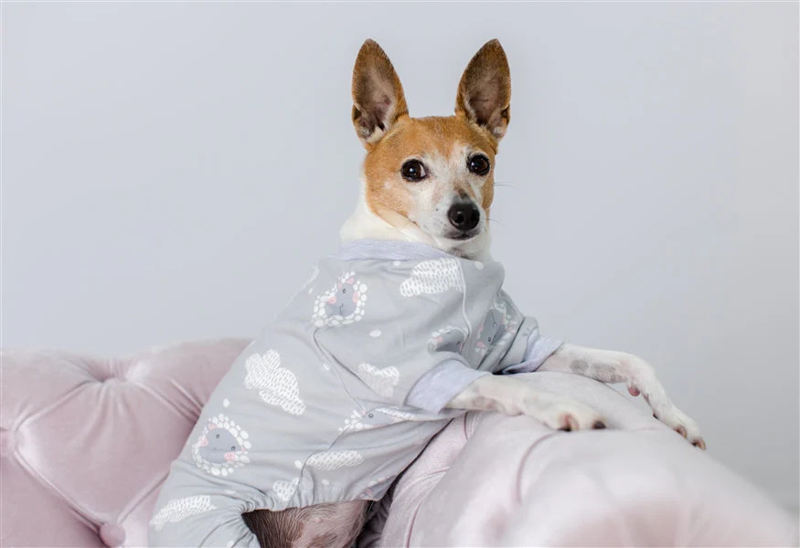 Parisian Pet 'Grey Sheep' Pajama for Dogs & Cats, Designer Pet Sleepwear, Cozy Dog Pajama Set, Grey - Image 6