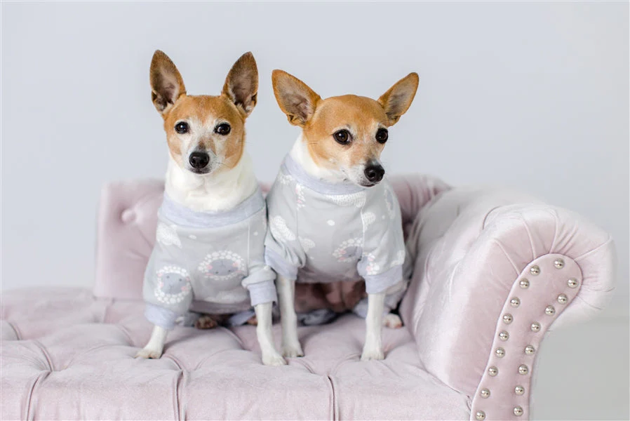 Parisian Pet 'Grey Sheep' Pajama for Dogs & Cats, Designer Pet Sleepwear, Cozy Dog Pajama Set, Grey - Image 7