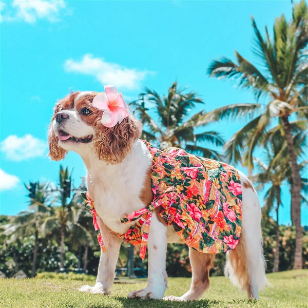 Parisian Pet 'Hawaiian Dress' Dog & Cat Shirt – Island-Themed Vacation Pet Apparel – Orange - Image 3