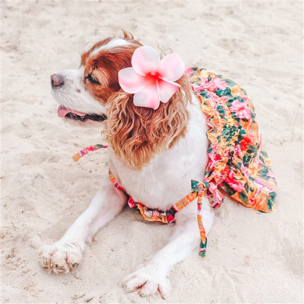 Parisian Pet 'Hawaiian Dress' Dog & Cat Shirt – Island-Themed Vacation Pet Apparel – Orange - Image 4
