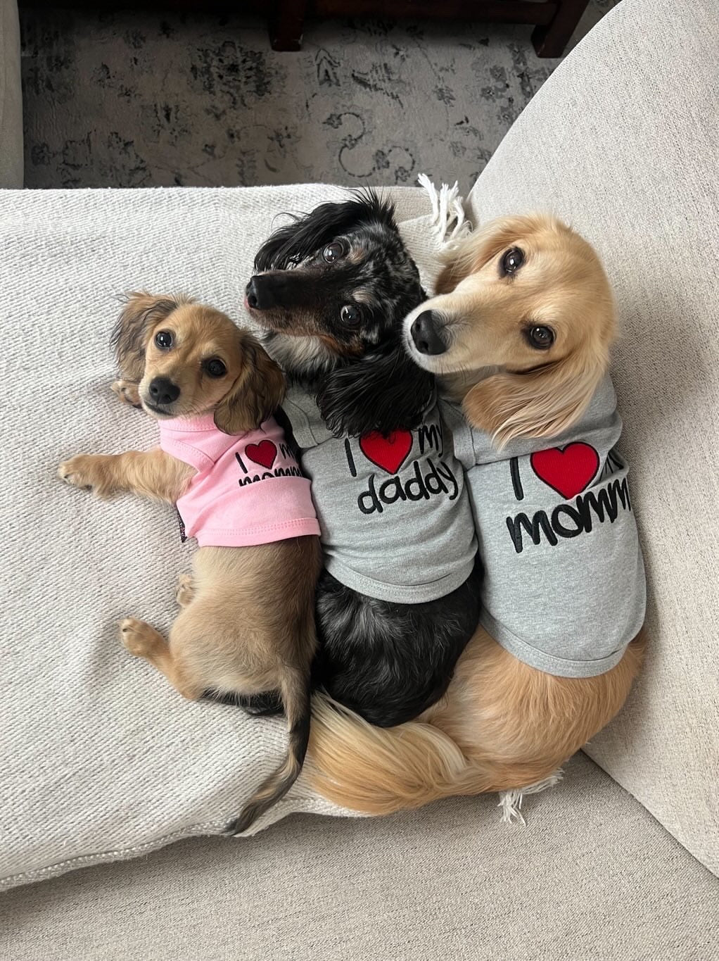 Parisian Pet 'I Love Mommy' Dog & Cat Shirt - Cute Pet T-Shirt, Pink-Valentine's Day - Image 3