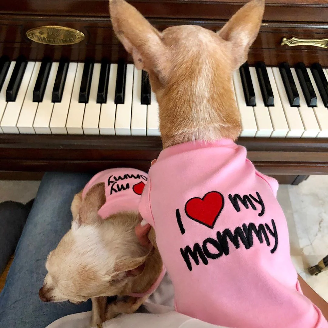 Parisian Pet 'I Love Mommy' Dog & Cat Shirt - Cute Pet T-Shirt, Pink-Valentine's Day - Image 4