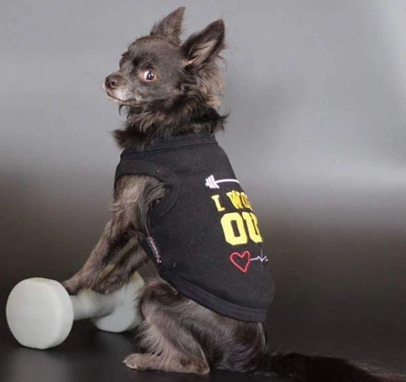 Parisian Pet 'I Work Out' Trendy Dog Apparel – Playful Slogan Dog Shirt for Dogs & Cats, Black - Image 4