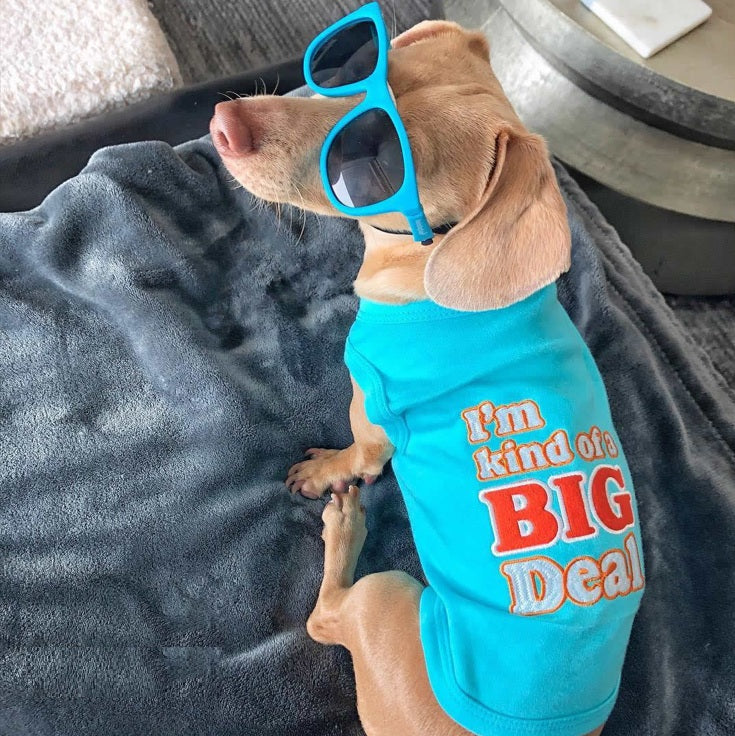 Parisian Pet 'I'm Kind of a Big Deal' Humorous Dog Shirt – Embroidered Graphic Pet T-Shirt for Dogs & Cats, Light Blue - Image 3